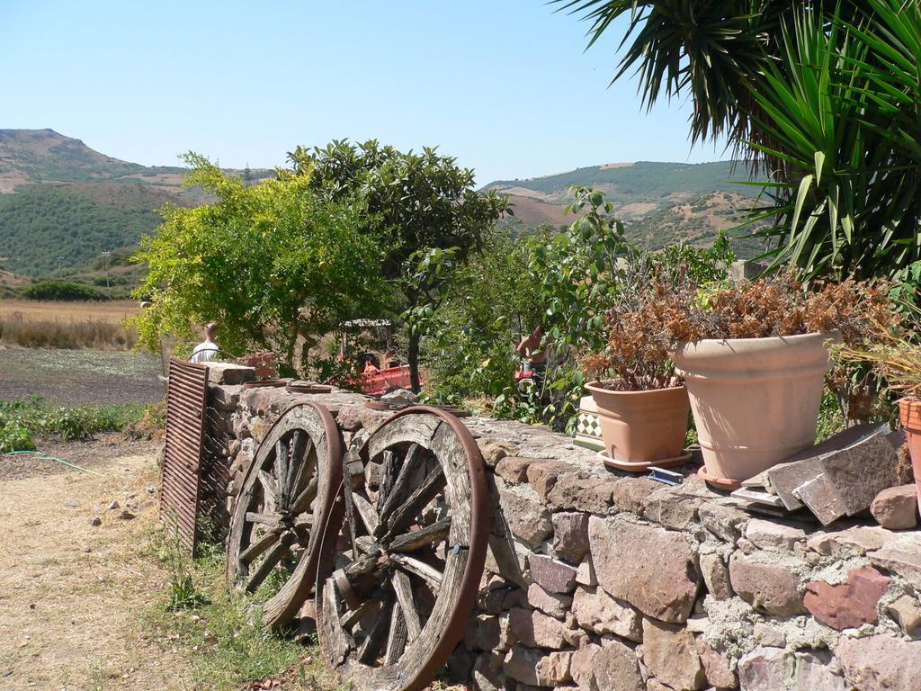 Agriturismo Sa Tanca Noa Tergu Exterior foto