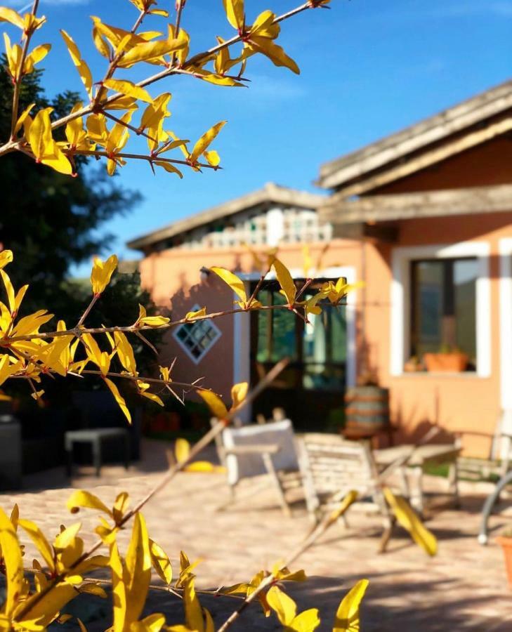 Agriturismo Sa Tanca Noa Tergu Exterior foto